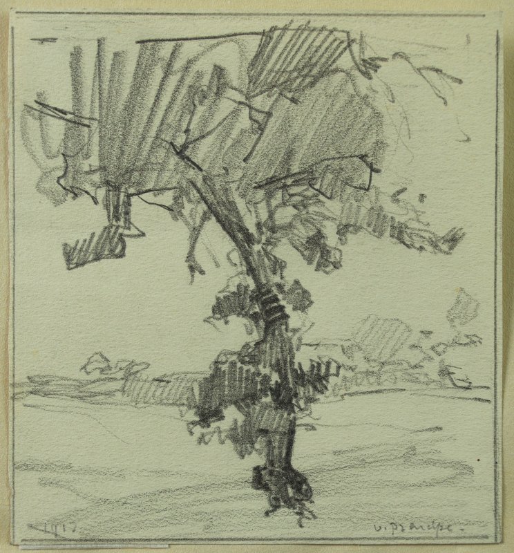 1912 - Albero